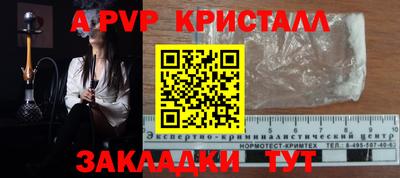 шишки Коммунар