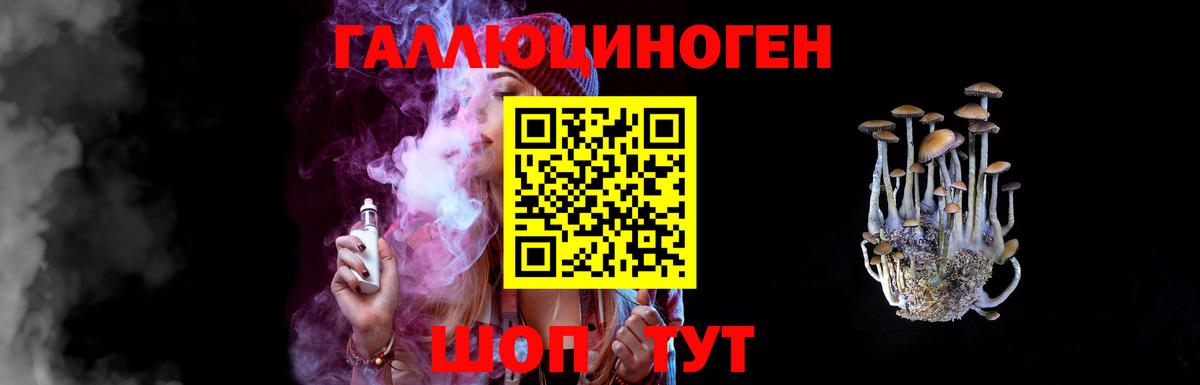 Кизилюрт  Псилоцибиновые грибы мухоморы  Вход с VPN 